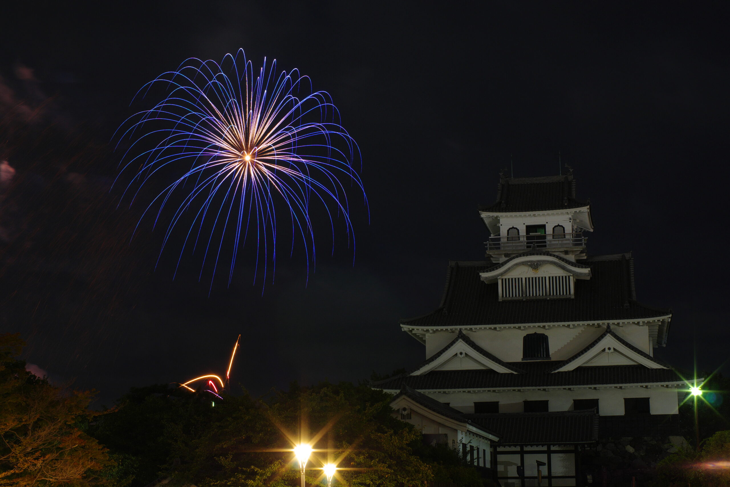 夜桜 | すえろぐ